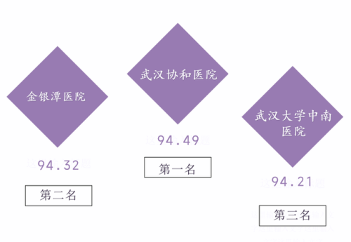 武汉兄弟院校排名前十(武汉前三名的大学)插图