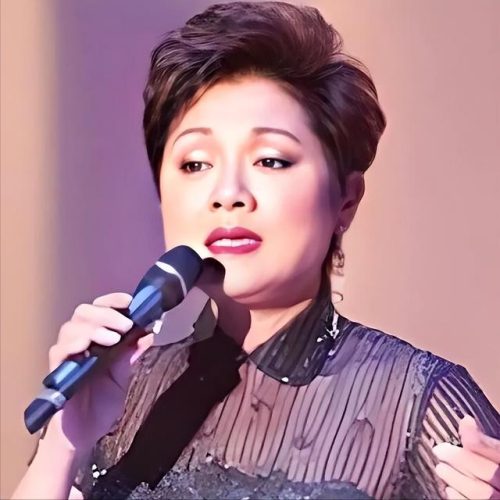 高音歌曲排行榜女(高难度女高音流行歌)插图6
