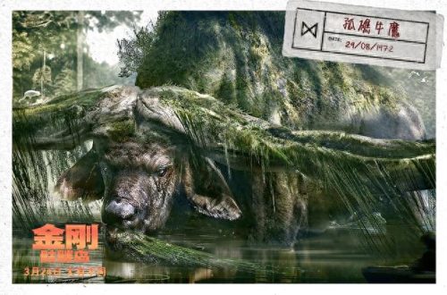金刚骷髅岛十大排行榜(金刚骷髅岛前十名)插图
