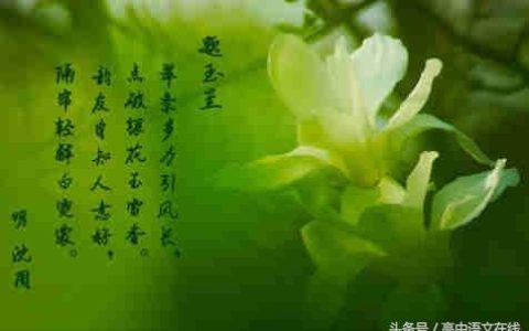 托物寓意的作文(托物寓意小练笔200字)