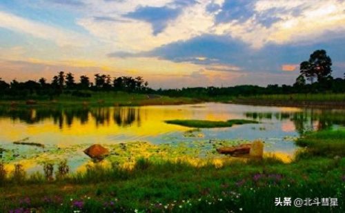 东莞市十大景区排行榜(东莞十大必吃地方)插图35