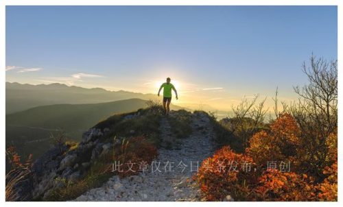 帝小说排行榜(十大完结巅峰神作小说)插图7