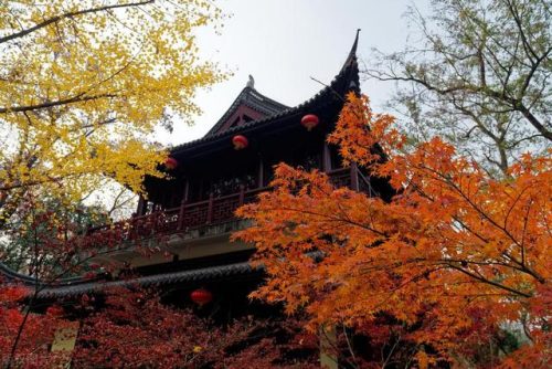 南京风景区排行榜(南京旅游哪里好玩)插图33
