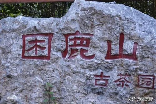 普洱茶叶价格排行榜(顶级普洱茶品牌排行榜)插图8