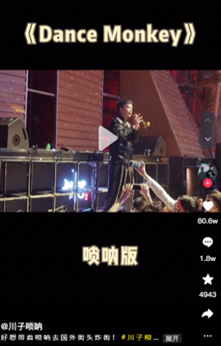 十大唢呐电音曲目排行榜(唢呐电音完整版)插图9