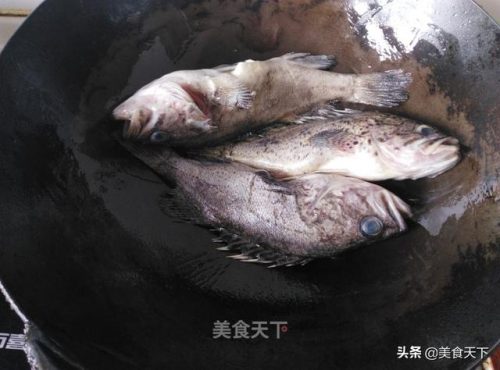 嘎鱼营养(嘎鱼汤怎么炖最好吃的)插图37