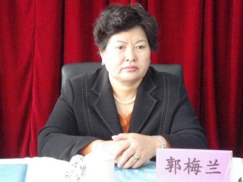 年轻女富豪排行榜(中国年轻女首富十大排名)插图4