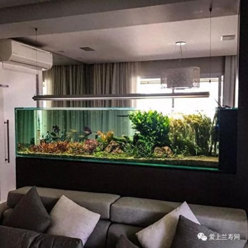 十大鱼缸品种排行榜(十大鱼缸排名前十名)插图13