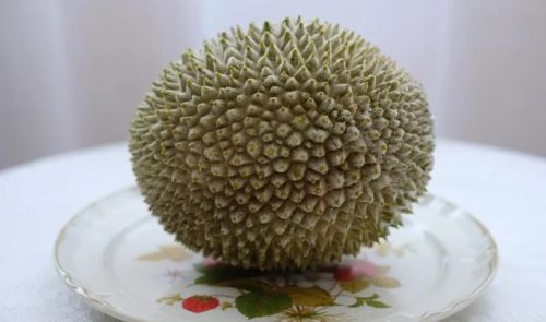 最好的榴莲品种排行榜(榴莲品种十大排名)插图16