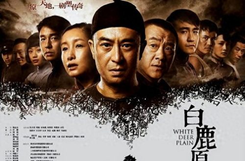 电视剧家庭地位排名前十(家庭电视剧十大排名)插图4