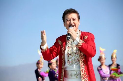 少数民族女歌手排行榜(中国朝鲜族的明星)插图13