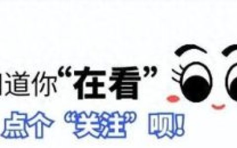 魏哲鸣老婆(魏哲鸣与朱星杰的婚姻状况)