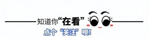 魏哲鸣老婆(魏哲鸣与朱星杰的婚姻状况)插图