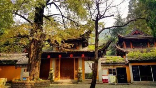 北仑区小众景点排名前十(小众旅游)插图23