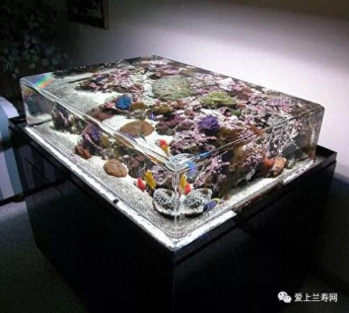 十大鱼缸品种排行榜(十大鱼缸排名前十名)插图14