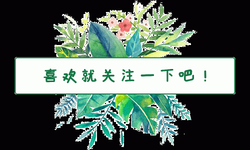 少数民族女歌手排行榜(中国朝鲜族的明星)插图