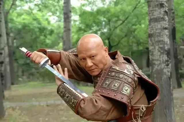 大陆武术排行榜(世界武术排名第一是谁)插图4