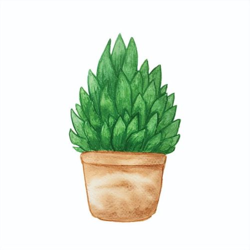 送姐姐礼物排行榜(30-40岁女士实用礼物)插图2