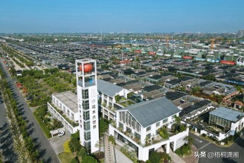 全国最全花市排名前十(医科大学全国排名)插图5