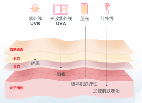 高丝防晒霜排行榜(日本高丝防晒霜怎么样)插图7