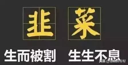 德阳楼盘单价排名前十(德阳市楼盘哪个比较好)插图9