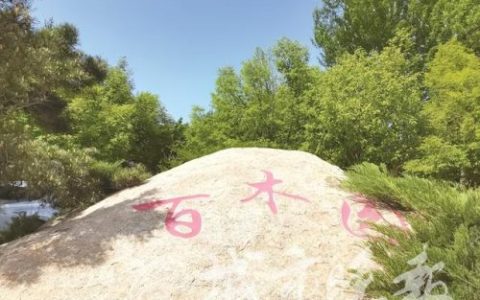长春绿化景点排名前十(长春市旅游景点一日游)