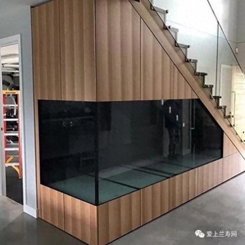 十大鱼缸品种排行榜(十大鱼缸排名前十名)插图27