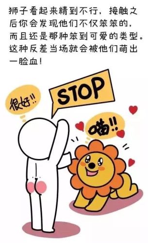 微博红人排行榜男(男网红排名前十)插图19