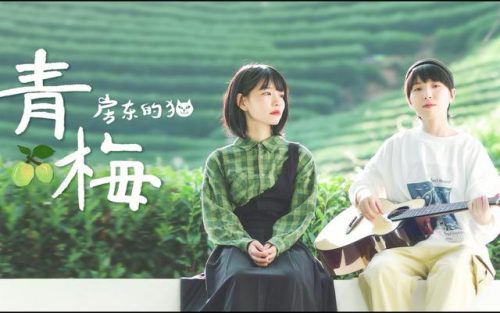 华语民谣歌曲排行榜(民谣歌曲最火的十首)插图27