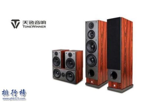 中国音响品牌排行榜(国内音响品牌哪个好)插图