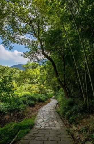 北仑区小众景点排名前十(小众旅游)插图21