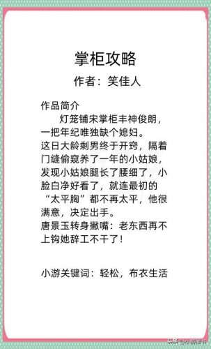 笑佳人小说排行榜(十二本笑佳人的小说推荐)插图11