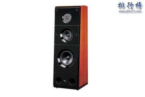 中国音响品牌排行榜(国内音响品牌哪个好)插图6