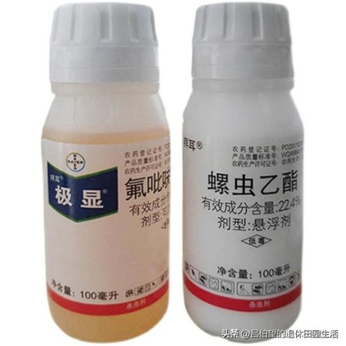 韩国除虫神器排名前十(日本除螨产品)插图6