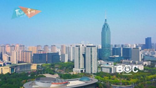 常州锅炉低氮改造排名前十(常州迪森锅炉)插图1