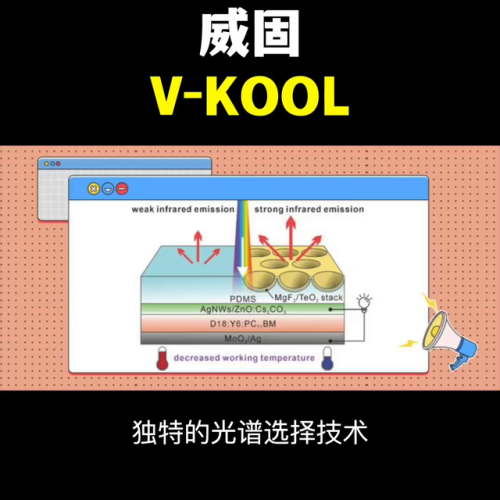 全球太阳膜十大排行榜(汽车太阳膜十大排名)插图3