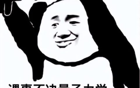 世界量子手机排名前十(世界量子科技强国排名)