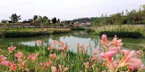 同安区湿地公园排名前十(同安汀溪湿地)插图12
