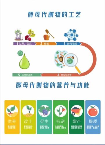 生物菌肥排行榜(山东十大生物菌肥厂家)插图2