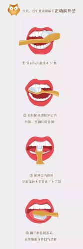 小白兔牙膏排行榜(十大牙膏品牌)插图10