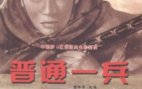 海外配音大师排名前十(配音大咖有哪些)
