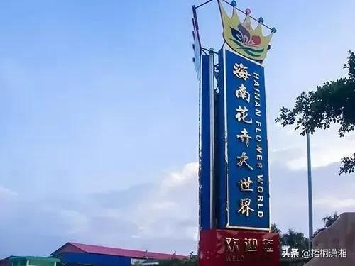 全国最全花市排名前十(医科大学全国排名)插图8