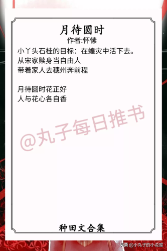 穿越经典种田文排行榜(经典穿越种田文小说推荐完本)插图4