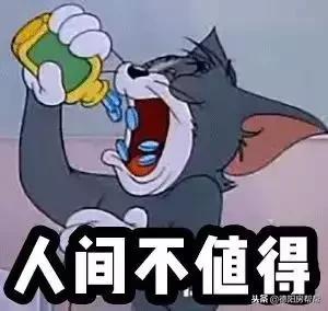 德阳楼盘单价排名前十(德阳市楼盘哪个比较好)插图6