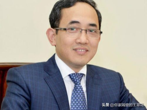 越南富豪排行榜(越南华人十大首富排名)插图9