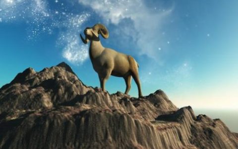 媒体行业星座排名前十(十二星座最会赚钱排名)