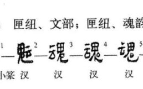 魂的部首(魂部首查字法怎么查)