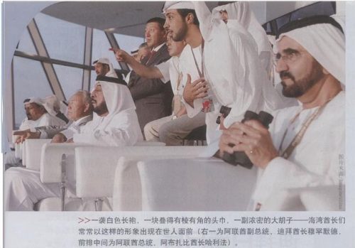 迪拜首席富豪排名前十(迪拜经济排名世界第几)插图12