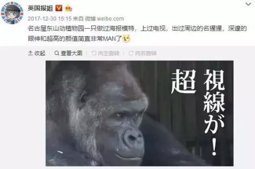 微博红人排行榜男(男网红排名前十)插图47