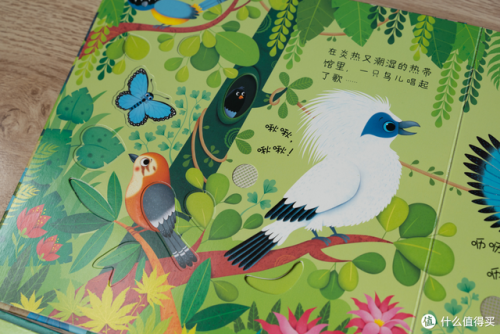 幼儿绘本排行榜(国内最好的绘本出版社)插图21
